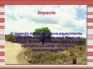 Impacto



O impacto é falta de chuva,aquecimento
   global,desmatamento,caça ilegal na
caatinga. Nela,a vegetação nativa e solos
      agricultáveis estão em franco
            desaparecimento.
 