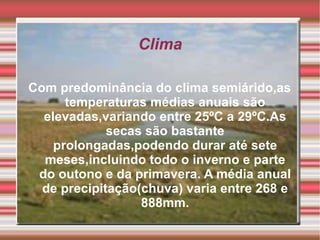 Clima

Com predominância do clima semiárido,as
      temperaturas médias anuais são
  elevadas,variando entre 25ºC a 29ºC.As
             secas são bastante
    prolongadas,podendo durar até sete
  meses,incluindo todo o inverno e parte
 do outono e da primavera. A média anual
  de precipitação(chuva) varia entre 268 e
                  888mm.
 