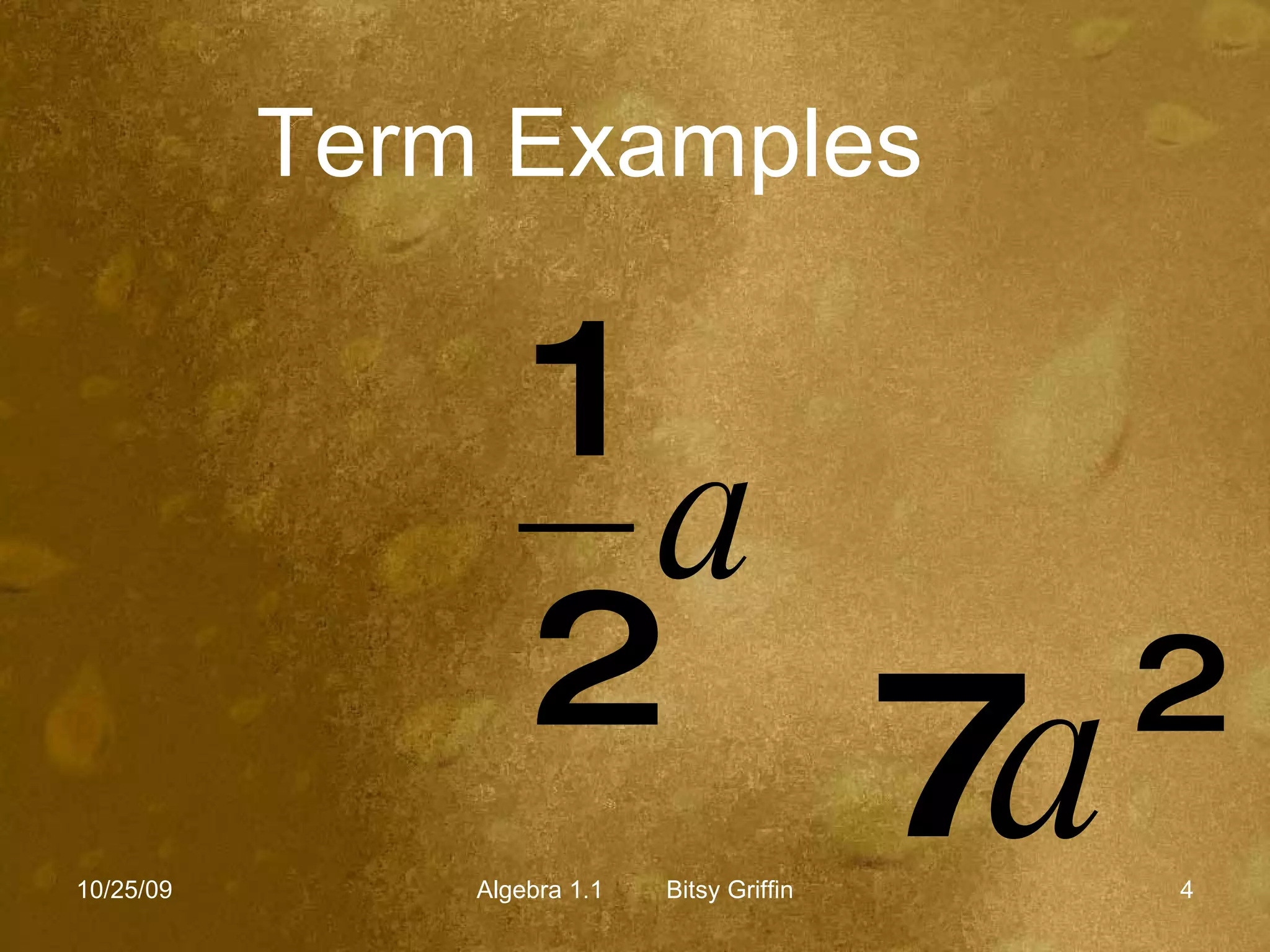 Term Examples 10/25/09 Algebra 1.1  Bitsy Griffin 