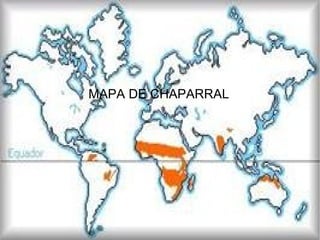 MAPA DE CHAPARRAL
