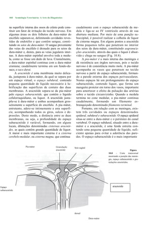 460    Semiologia Veterinária: A Arte do Diagnóstico



        na superfície interna dos ossos do crânio pode cons-       caudalmente com o espaço subaracnóide da me-
        tituir um fator de irritação do tecido nervoso. Em         dula e liga-se ao IV ventrículo através de sua
        algumas áreas os dois folhetos da dura-máter do            abertura mediana. Por meio de uma punção su-
        encéfalo separam-se, delimitando cavidades reves-          boccipital, é possível realizar a colheita de liquor
        tidas de endotélio e que contêm sangue, consti-            da cisterna magna. Em alguns pontos a aracnóide
        tuindo os seios da dura-máter. O sangue proveniente        forma pequenos tufos que penetram no interior
        das veias do encéfalo é drenado para os seios da           dos seios da dura-máter, constituindo asgranu/a-
        dura-máter e, destes, para as veias jugulares inter-       ções aracnóides, através das quais o liquor é absor-
        nas. A dura-máter espinhal envolve toda a medu-            vido c chega no sangue (Fig. 10.8).
        la, como se fosse um dedo de luva. Cranialmente,                A pia-máter é a mais interna das meninges e
        a dura-máter espinhal continua com a dura-máter            dá resistência aos órgãos nervosos, pois o tecido
        craniana; caudalmente termina em um fundo-de-              nervoso é de consistência muito mole. A pia-máter
        saco, o saco durai.                                        acompanha os vasos que penetram no tecido
              A aracnóide é uma membrana muito delica-             nervoso a partir do espaço subaracnóide, forman-
        da, justaposta à dura-máter, da qual se separa por         do a parede externa dos espaços pcrivasculares.
        um espaço virtual, o espaço subdural, contendo             Nestes espaços há um prolongamento do espaço
        pequena quantidade de líquido necessário à lu-             subaracnóide, contendo liquor, que forma um
        brificação das superfícies de contato das duas             manguito protctor em torno dos vasos, importante
        membranas. A aracnóide separa-se da pia-máter              para amortecer o efeito da pulsação das artérias
        pelo espaço subaracnóide, que contém o líquido             sobre o tecido circunvizinho. Quando a medula
        cefalorraquidiano, ou liquor. A aracnóide justa-           termina no cone medular, a pia-máter continua
        põe-se à dura-máter e ambas acompanham gros-               caudalmente, formando um filamento es-
        seiramente a superfície do encéfalo. A pia-máter,          branquiçado denominado filamento terminal.
        entretanto, adere-se intimamente a esta superfí-                Portanto, em relação com as meninges, exis-
        cie, acompanhando todos os giros, sulcos e de-             tem três cavidades ou espaços denominados
        pressões. Deste modo, a distância entre as duas            epidural, subdural e subaracnóide. O espaço epidural
        membranas, ou seja, a profundidade do espaço               situa-se entre a dura-máter c o periósteo do canal
        subaracnóide é variável, formando, em alguns               vertebral. O espaço subdural, situado entre a dura-
        locais, dilatações denominadas cisternas aracnói-          máter e a aracnóide, é uma fenda estreita con-
        des, as quais contêm grande quantidade de liquor.          tendo uma pequena quantidade de líquido, sufi-
        A maior e mais importante cisterna é a cisterna            ciente apenas para evitar a aderência das pare-
        cerebelo-medular, ou cisterna magna, que continua          des. O espaço subaracnóide é o mais importante


                         Pia-máter                   Granulação   Seio sagital
                                                     aracnóide                                                      Figura
                                                                                              10.8 - Corte transversal
                                                                                              mostrando a posição das menin-
                                                                                              ges, espaço subaracnóide e gra-
                                                                                              nulações aracnóides.




Espaço                                                                                            aracnoide
subaracnóide




                                                                  dorsal

                                                                                 Dura-máter
 