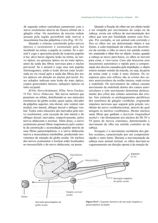 Semiologia do Sistema Nervoso de Pequenos Animais      465



 de segunda ordem caminham juntamente com o                         Quando a fixação do olhar em um objeto tende
 nervo oculomotor através da fissura orbital até o             a ser rompida por movimentos do corpo ou da
 gânglio ciliar. Os neurônios de terceira ordem                cabeça, existe um reflexo de movimentação dos
 passam pela região periorbital indo inervar a                 olhos que tem por finalidade manter essa fixa-
 musculatura lisa das pálpebras e íris (Fig. 10.13).           ção. Por exemplo, se um animal está correndo e
       Quando o sistema constituído pelos nervos               fixa os olhos em um determinado objeto à sua
 ópticos e oculomotor é estimulado pela luz                    frente, a cada trepidação da cabeça em decorrên-
 incidindo na retina, a pupila se contrai. Se o ani-           cia da corrida, o olho se move em sentido contrá-
 mal é cego e apresenta perda da resposta pupilar              rio, mantendo o olhar fixo no objeto. Assim, quando
 à luz, deve haver alguma lesão na retina, no ner-             a cabeça se move para baixo, os olhos se movem
 vo óptico, no quiasma óptico ou no trato óptico,              para cima, e vice-versa. Caso não houvesse esse
 antes da saída das fibras nervosas para o núcleo              mecanismo automático e rápido para a compen-
 pré-tectal. Se o animal é cego mas tem pupilas                sação dos desvios causados pela trepidação, o objeto
 fotorreagentes, então a lesão deverá estar locali-            estaria sempre saindo da mácula, ou seja, da parte
 zada na via visual após a saída das fibras dos tra-           da retina onde a visão é mais distinta. Os re-
 tos ópticos em direção ao núcleo pré-tectal. Es-              ceptores para este reflexo são as cristas dos ca-
 ses achados indicam uma lesão do trato óptico,                nais semicirculares da orelha interna, onde existe
 corpos geniculados laterais, radiações ópticas ou             a endolinfa. Os movimentos da cabeça causam
 lobo occipital.                                               movimento da endolinfa dentro dos canais semi-
       III Par, Nervo Oculomotor; IVPar, Nervo Troclear;       circulares e este movimento determina desloca-
 VI Par, Nervo Abducente. São nervos motores que               mento dos cílios das células sensoriais das cris-
 penetram na órbita, distribuindo-se aos músculos              tas. Isto estimula os prolongamentos periféricos
 extrínsecos do globo ocular, quais sejam, elevador            dos neurônios do gânglio vestibular, originando
 da pálpebra superior, reto dorsal, reto ventral, reto         impulsos nervosos que seguem pela porção ves-
 medial, reto lateral, oblíquo dorsal e oblíquo ven-           tibular do nervo vestibulococlear, através do qual
 tral. Todos estes músculos são inervados pelo ner-            atingem os núcleos vestibulares. Destes núcleos
 vo oculomotor, com exceção do reto lateral e do               saem fibras que ganham o fascículo longitudinal
 oblíquo dorsal, inervados, respectivamente, pelos             medial c vão diretamente aos núcleos do III, IV e
 nervos abducente e troclear. Além disso, o nervo              VI pares de nervos cranianos, determinando o
 oculomotor possui fibras responsáveis pelo contro-            movimento do olho em sentido contrário ao da
 le da constricção c acomodação pupilar através de             cabeça.
 suas fibras parassimpáticas, e o nervo abducente                   Nistagmo é o movimento oscilatório dos glo-
 inerva a musculatura retrobulbar, produzindo mo-              bos oculares, caracterizado por um componente
 vimentos de retração do globo ocular. Os núcleos              rápido e outro lento. Durante a movimentação da
 dos nervos oculomotor e troclear estão localizados            cabeça num animal normal, os olhos desviam-se
 no mesencéfalo e do nervo abducente, na ponte.                vagarosamente em direção oposta à da rotação da


                                                                                                          Segmento
                                                                                                          T1-T3




                                                                                        Inervação simpática
                                                                                        do globo ocular



                                         Gânglio cervical
                                         cranial
Globo
ocular
           Inervação parassimpática do                      Figura 10.13 - Esquema ilustrativo da inervação simpática e
           globo ocular                                     parassimpática da pupila.
 