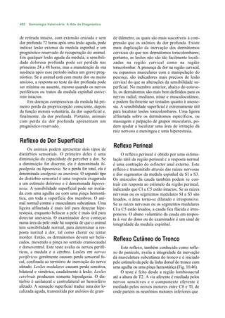 492   Semiologia Veterinária: A Arte do Diagnóstico



de retirada intacto, com extensão cruzada e sem         de diâmetro, os quais são mais suscetíveis à com-
dor profunda 72 horas após uma lesão aguda, pode        pressão que os axônios da dor profunda. Existe
indicar lesão extensa da medula espinhal e um           mais duplicação da inervação dos dermátomos
prognóstico reservado de recuperação do animal.         cervicais do que nos dermátomos toracolombares;
Em qualquer lesão aguda da medula, a sensibili-         portanto, as lesões não são tão facilmente locali-
dade dolorosa profunda pode ser perdida nas             zadas na região cervical como na região
primeiras 24 a 48 horas, mas a manutenção de sua        toracolombar. A presença de dor na região cervical,
ausência após esse período indica um grave prog-        ou espasmos musculares com a manipulação do
nóstico. Se o animal está com muita dor ou muito        pescoço, são indicadores mais precisos de lesão
ansioso, a resposta ao teste da dor profunda pode       cervical do que as alterações da sensibilidade su-
ser mínima ou ausente, mesmo quando os nervos           perficial. No membro anterior, abaixo do cotove-
periféricos ou tratos da medula espinhal estive-        lo, os dermátomos são mais bem definidos para os
rem intactos.                                           nervos radial, mediano, ninar e musculocutâneo,
     Em doenças compressivas da medula há pri-          e podem facilmente ser testados quanto à aneste-
meiro perda da propriocepção consciente, depois         sia. A sensibilidade superficial é extremamente útil
da função motora voluntária, da dor superficial e,      para localizar lesões toracolombares. Uma ligeira
finalmente, da dor profunda. Portanto, animais          alfinetada sobre os dermátomos específicos, ou
com perda da dor profunda apresentam um                 massagem e palpação de grupos musculares, po-
prognóstico reservado.                                  dem ajudar a localizar uma área de irritação da
                                                        raiz nervosa e meníngea c uma hiperestesia.

Reflexo de Dor Superficial
     Os animais podem apresentar dois tipos de
                                                        Reflexo Perineal
distúrbios sensoriais. O primeiro deles é uma                O reflexo perineal é obtido por uma estimu-
diminuição da capacidade de perceber a dor. Se          lação tátil da região perineal c a resposta normal
a diminuição for discreta, ela é denominada hi-         é uma contração do esfíncter anal externo. Este
poalgesia ou hipoestesia. Se a perda for total, ela é   reflexo c transmitido através das raízes nervosas
denominada analgesia ou anestesia. O segundo tipo       e dos segmentos da medula espinhal de SI a S3.
de distúrbio sensorial é uma resposta exagerada         Os músculos da cauda também podem se con-
a um estímulo doloroso e é denominada hiperes-          trair em resposta ao estímulo da região perineal,
tesia. A sensibilidade superficial pode ser avalia-     indicando que Cl a C5 estão intactos. Se as raízes
da com uma agulha ou com uma pinça hemostá-             nervosas ou os segmentos medulares SI a S3 são
tica, em toda a superfície dos membros. O ani-          lesados, o ânus torna-se dilatado e irresponsivo.
mal normal contrai a musculatura subcutânea. Uma        Se as raízes nervosas ou os segmentos medulares
ligeira alfinetada é mais útil para detectar hipe-      Cl a C5 estão lesados, a cauda fica flácida e irres-
restesia, enquanto beliscar a pele é mais útil para     ponsiva. O abano voluntário da cauda em respos-
detectar anestesia. O examinador deve começar           ta à voz do dono ou do examinador é um sinal de
numa área da pele onde há suspeita de que o animal      integridade da medula espinhal.
tem sensibilidade normal, para determinar a res-
posta normal à dor, tal como chorar ou tentar
morder. Então, os dermátomos devem ser belis-
cados, movendo a pinça no sentido craniocaudal
                                                        Reflexo Cutâneo do Tronco
e dorsoventral. Este teste avalia os nervos perifé-          Este reflexo, também conhecido como refle-
ricos, a medula e o cérebro. Lesões em nervos           xo do panículo, avalia a integridade da inervação
periféricos geralmente causam perda sensorial fo-       da musculatura subcutânea do tronco e é iniciado
cal, confinada ao território de inervação do nervo      pelo estímulo da pele da linha dorsal do tronco com
afetado. Lesões medulares causam perda sensitiva,       uma agulha ou uma pinça hemostática (Fig. 10.46).
bilateral e simétrica, caudalmente à lesão. Lesões           O teste é feito desde a região lombossacral
cerebrais produzem somente hipoalgesia. O dis-          até a altura de T2. A via aferente é mediada pelos
túrbio é unilateral e contralateral ao hemisfério       nervos sensitivos e o componente eferente é
afetado. A sensação superficial traduz uma dor lo-      mediado pelos nervos motores entre C8 e Tl, de
calizada aguda, transmitida por axônios de gran-        onde partem os neurônios motores inferiores que
 