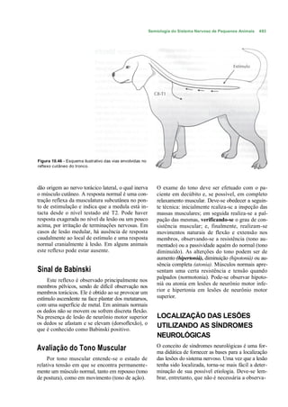 Semiologia do Sistema Nervoso de Pequenos Animais   493




Figura 10.46 - Esquema ilustrativo das vias envolvidas no
reflexo cutâneo do tronco.




dão origem ao nervo torácico lateral, o qual inerva             O exame do tono deve ser efetuado com o pa-
o músculo cutâneo. A resposta normal é uma con-                 ciente em decúbito e, se possível, em completo
tração reflexa da musculatura subcutânea no pon-                relaxamento muscular. Deve-se obedecer a seguin-
to de estimulação e indica que a medula está in-                te técnica: inicialmente rcaliza-sc a inspeção das
tacta desde o nível testado até T2. Pode haver                  massas musculares; em seguida realiza-se a pal-
resposta exagerada no nível da lesão ou um pouco                pação das mesmas, verificando-se o grau de con-
acima, por irritação de terminações nervosas. Em                sistência muscular; e, finalmente, realizam-se
casos de lesão medular, há ausência de resposta                 movimentos naturais de flexão e extensão nos
caudalmente ao local de estímulo e uma resposta                 membros, observando-se a resistência (tono au-
normal cranialmente à lesão. Em alguns animais                  mentado) ou a passividade aquém do normal (tono
este reflexo pode estar ausente.                                diminuído). As alterções do tono podem ser de
                                                                aumento (hipertoniá), diminuição (hipotonià) ou au-
                                                                sência completa (atonia). Músculos normais apre-
Sinal de Babinski                                               sentam uma certa resistência e tensão quando
                                                                palpados (normotonia). Pode-se observar hipoto-
     Este reflexo é observado principalmente nos
                                                                nià ou atonia em lesões de neurônio motor infe-
membros pélvicos, sendo de difícil observação nos
membros torácicos. Ele é obtido ao se provocar um               rior e hipertonia em lesões de neurônio motor
estímulo ascendente na face plantar dos metatarsos,             superior.
com uma superfície de metal. Em animais normais
os dedos não se movem ou sofrem discreta flexão.
Na presença de lesão de neurônio motor superior                 LOCALIZAÇÃO DAS LESÕES
os dedos se afastam e se elevam (dorsoflexão), o                UTILIZANDO AS SÍNDROMES
que é conhecido como Babinski positivo.
                                                                NEUROLÓGICAS
                                                               O conceito de síndromes neurológicas é uma for-
Avaliação do Tono Muscular                                     ma didática de fornecer as bases para a localização
     Por tono muscular entendc-se o estado de                  das lesões do sistema nervoso. Uma vez que a lesão
relativa tensão em que se encontra permanente-                 tenha sido localizada, torna-se mais fácil a deter-
mente um músculo normal, tanto em repouso (tono                minação de sua possível etiologia. Deve-se lem-
de postura), como em movimento (tono de ação).                 brar, entretanto, que não é necessária a observa-
 