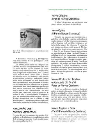 Semiologia do Sistema Nervoso de Pequenos Animais   499



                      ....
                                                             Nervo Olfatório
                                                             (l Par de Nervos Cranianos)
                                                                 O olfato está presente no nascimento, mas
                                                             parece não ser totalmente desenvolvido.


                                                             Nervo Óptico
                                                             (II Par de Nervos Cranianos)
                                                                  Neonatos são cegos no nascimento porque as
                                                             pálpebras estão fechadas e a retina ainda não está
                                                             totalmente desenvolvida. No entanto, um pequeno
                                                             reflexo de piscar pode ser obtido incidindo-se um
                                                             facho de luz através das pálpebras. A retina não
                                                             está totalmente desenvolvida antes de 28 dias.
                                                             As pálpebras abrem-se normalmente entre 10 e
figura 10.48 - Dominância extensora em um cão com oito       15 dias. Há um desenvolvimento concomitante
dias de vida.                                                do nervo óptico e de toda a via visual. Quando as
                                                             pálpebras se abrem, os neonatos respondem de
                                                             modo discreto à luz e não seguem ativamente o
     A dominância extensora (Fig. 10.48) perma-              movimento de objetos, fazendo-o somente a par-
nece até a 3a semana de vida, quando passa a ocor-           tir de três a quatro semanas de idade. Os reflexos
rer uma normotonia.                                          pupilares à luz também são pouco desenvolvidos
     Os animais podem elevar sua cabeça ao nas-              em neonatos. O reflexo à ameaça está presente
cimento, mas hão conseguem manter uma posi-                  quando as pálpebras se abrem, mas em menor grau
ção ereta até duas ou três semanas de idade,                 em relação ao adulto. Em alguns animais, a res-
podendo haver variações raciais. A função vesti-             posta à ameaça não aparece até a terceira ou quarta
bular está presente no nascimento, mas a coorde-             semana de vida.
nação muscular ainda é muito falha. O neonato
inicialmente arrasta seu abdome e tórax através
de movimentos "natatórios" pobremente coorde-
nados. Esses movimentos são mais pronunciados                Nervos Oculomotor, Troclear
antes da alimentação, mas geralmente os filhotes             e Abducente (III, IV e VI
são auxiliados pela mãe para localizar as glându-
las mamarias. Esse tipo de locomoção persiste por            Pares de Nervos Cranianos)
duas ou três semanas de vida, quando se inicia                    Os nervos oculomotor, troclear e abducente
uma locomoção ereta e incoordenada. Uma loco-                podem ser testados da mesma forma que no adulto,
moção mais coordenada começa apenas na 4-                    tão logo as pálpebras estejam abertas. Devemos
semana de vida. O neonato é capaz de suportar o              lembrar, no entanto, que nem sempre o estrabis-
peso nos membros torácicos com sete a 10 dias                mo tem como causa uma lesão nesses nervos.
de vida e, nos pélvicos, com 10 a 24 dias. A coor-           Animais com hidrocefalia congénita apresentam
denação motora e a postura dos animais são úteis             estrabismo com bastante frequência.
para avaliar problemas cerebelares e vestibulares.


AVALIAÇÃO DOS                                                Nervos Trigêmio e Facial
NERVOS CRANIANOS                                             (V e VII Pares de Nervos Cranianos)
O exame dos nervos cranianos do neonato é se-                    Os nervos facial e trigêmio estão bastante
melhante ao do adulto, com exceção de que, antes             desenvolvidos no nascimento porque são neces-
da 2- semana, as respostas visuais e auditivas es-           sários à sobrevivência do animal e são testados
tão ausentes (Tabela 10.4).                                  da mesma forma que no adulto.
 