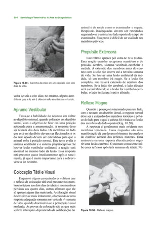 504   Semiologia Veterinária: A Arte do Diagnóstico



                                                        animal e do modo como o examinador o segura.
                                                        Respostas inadequadas devem ser retestadas
                                                        segurando-se o animal no lado oposto do corpo do
                                                        examinador. Esta prova é difícil de ser avaliada nos
                                                        membros pélvicos.


                                                        Propulsão Extensora
                                                             Este reflexo aparece por volta de 12 a 14 dias.
                                                        Essa reação envolve receptores sensitivos e de
                                                        pressão, cérebro, sistema vestíbulo-cerebelar e
                                                        medula. A extensão dos membros antes do con-
                                                        tato com o solo não ocorre até a terceira semana
                                                        de vida. Se houver uma lesão unilateral da me-
                                                        dula, só um membro irá reagir. Se a lesão for
Figura 10.49 - Carrinho-de-mão em um neonato com oito   completa, não haverá extensão de nenhum dos
dias de vida.                                           membros. Se a lesão for cerebral, o lado afetado
                                                        será o contralateral; se a lesão for vestíbulo-cere-
                                                        belar, o lado ipsilateral será o afetado.
volta de seis a oito dias; no entanto, alguns acre-
ditam que ele só é observado muito mais tarde.
                                                        Reflexo Magno
Aprumo Vestibular                                            Quando o pescoço é rotacionado para um lado,
                                                        com o neonato em decúbito dorsal, a resposta normal
     Testa-se a habilidade do neonato em voltar         deve ser a extensão dos membros torácico e pélvi-
ao decúbito esternal, quando colocado em decúbito       co do lado para o qual a cabeça foi virada e a flexão
lateral, com o objetivo de ficar cm uma posição         dos membros do lado oposto (Kig. 10.50).
adequada para a amamentação. A resposta deve                 A resposta é geralmente mais evidente nos
ser testada dos dois lados. Os membros do lado          membros torácicos. Essas respostas são uma
que está em decúbito devem ser flexionados e os         manifestação de um desenvolvimento incompleto
do lado oposto devem ser estendidos para que o          do controle cortical dos reflexos motores. Uma
animal volte à posição normal. Este teste avalia o      assimetria ou uma resposta alterada podem suge-
sistema vestibular e o sistema proprioceptivo. Se       rir uma lesão cerebral. O neonato consciente ini-
houver lesão vestibular unilateral, a rcação será       be esses reflexos após três semanas de idade. No
anormal no mesmo lado da lesão. Essa resposta
está presente quase imediatamente após o nasci-
mento, já que é muito importante para a sobrevi-
vência do neonato.


Colocação Tátil e Visual
     Enquanto alguns pesquisadores relatam que
o reflexo de colocação tátil está presente nos mem-
bros torácicos aos dois dias de idade e nos membros
pélvicos aos quatro dias, outros afirmam que ele
só aparece alguns dias mais tarde. A colocação visual
desenvolve-se mais lentamente, observando-se uma
resposta adequada somente por volta da 4- semana
de vida, quando desenvolve-se a percepção visual
profunda. As provas de colocação são as que mais
sofrem alterações dependendo da colaboração do          Figura 10.50 - Reflexo magno.
 