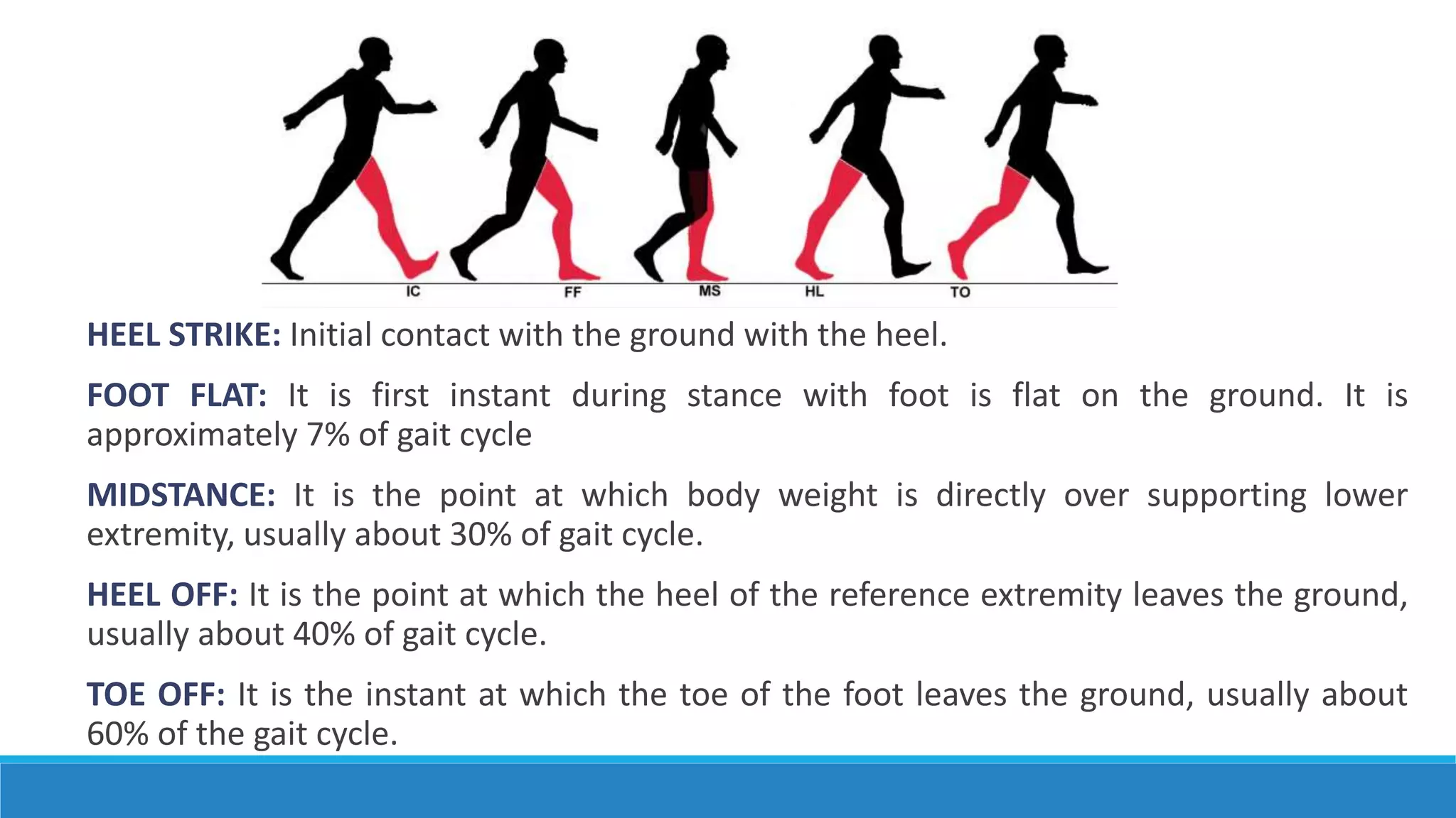 Phases of gait ppt