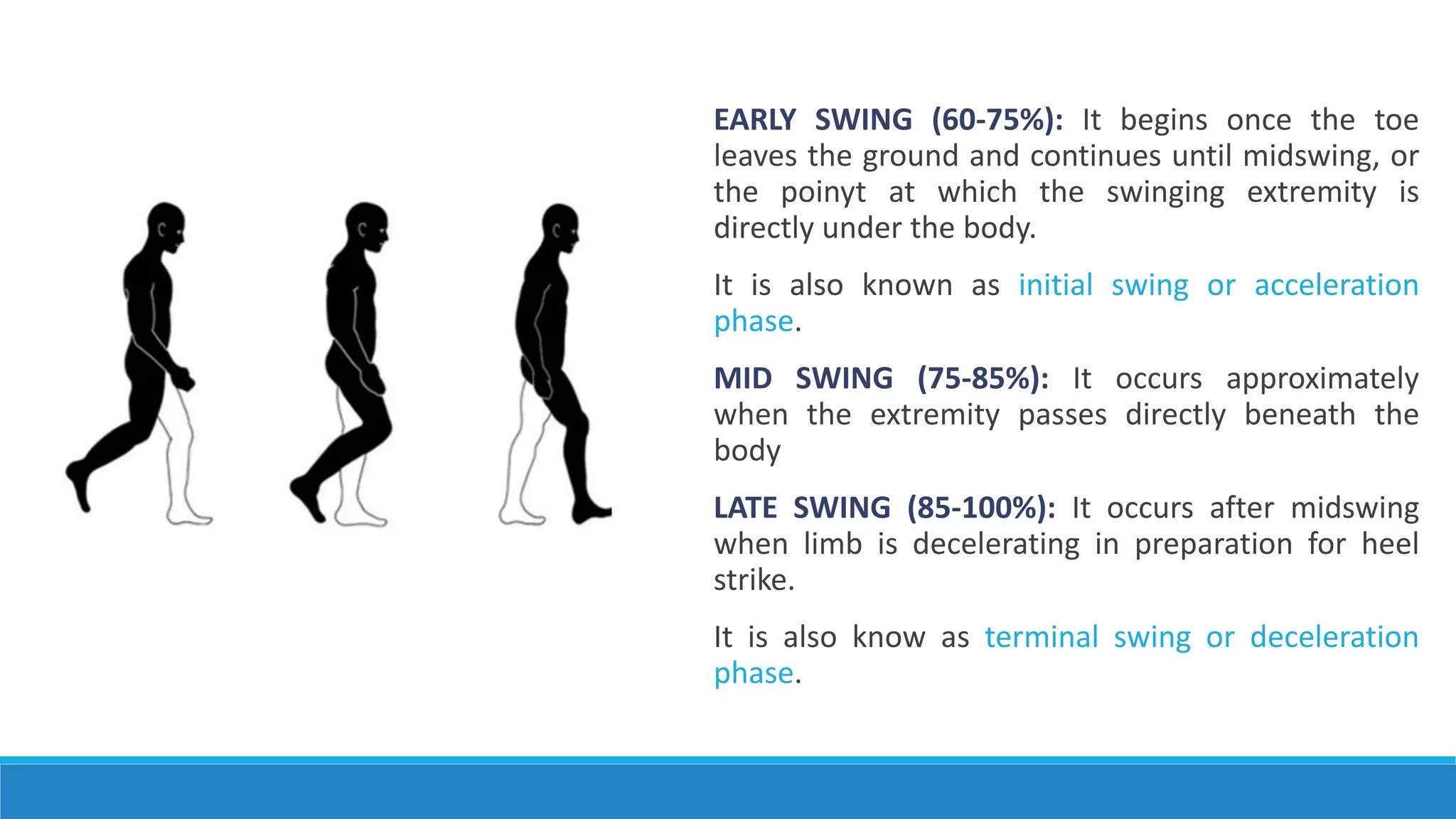 EARLY SWING (60-75%): It begins once the toe
leaves the ground and continues until midswing, or
the poinyt at which the swinging extremity is
directly under the body.
It is also known as initial swing or acceleration
phase.
MID SWING (75-85%): It occurs approximately
when the extremity passes directly beneath the
body
LATE SWING (85-100%): It occurs after midswing
when limb is decelerating in preparation for heel
strike.
It is also know as terminal swing or deceleration
phase.
 