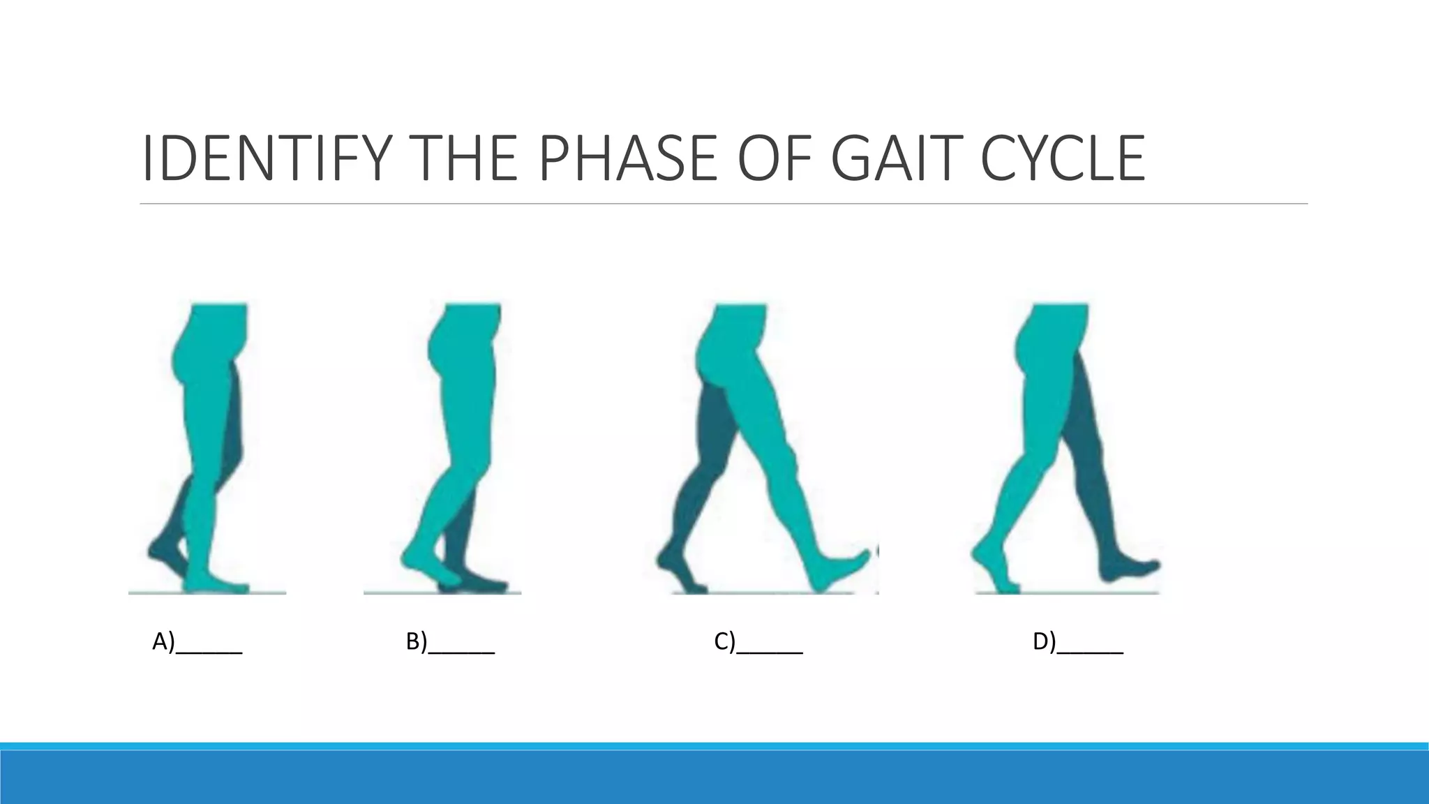 Phases of gait ppt