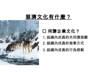 慈濟文化有什麼？
 何謂企業文化？
1. 組織內成員的共同價值觀
2. 組織內成員的做事方式
3. 組織內成員的行為規範
 