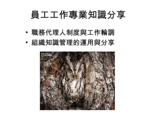 員工工作專業知識分享
• 職務代理人制度與工作輪調
• 組織知識管理的運用與分享
 
