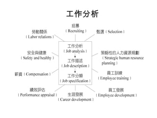 工作分析
 