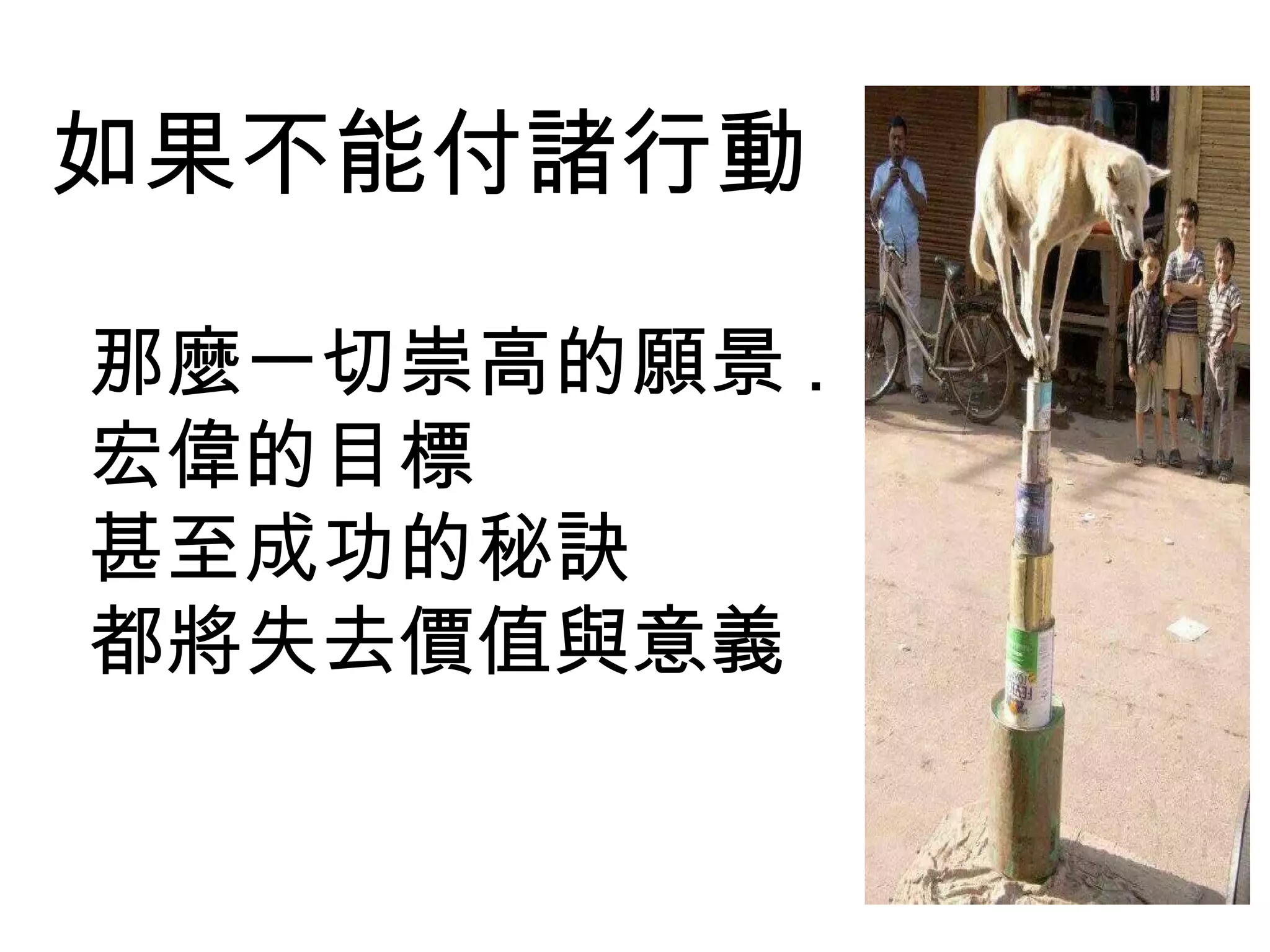 如果不能付諸行動
那麼一切崇高的願景 .
宏偉的目標
甚至成功的秘訣
都將失去價值與意義
 