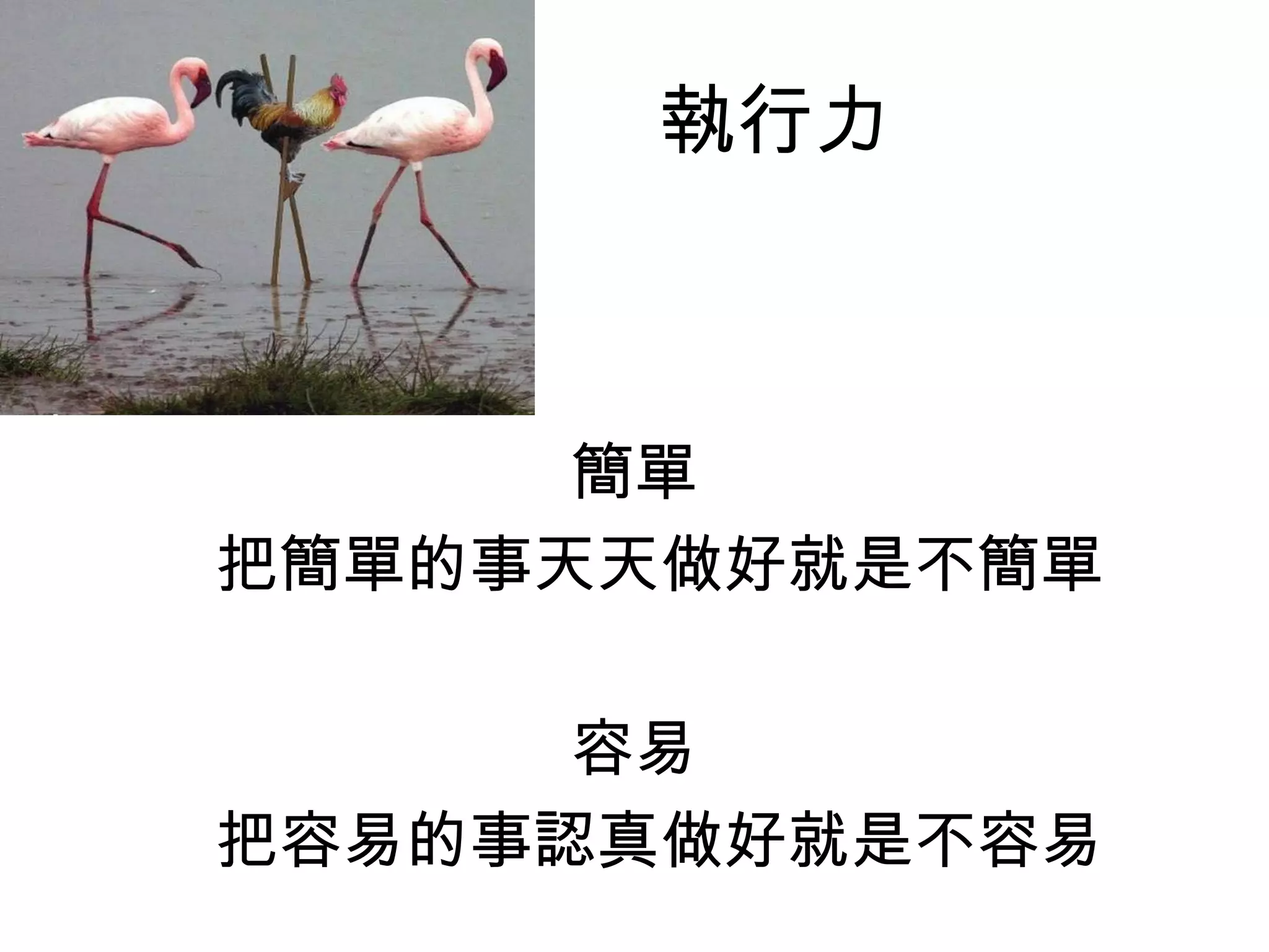 簡單
把簡單的事天天做好就是不簡單
容易
把容易的事認真做好就是不容易
執行力
 