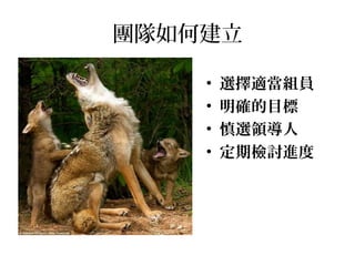 團隊如何建立
• 選擇適當組員
• 明確的目標
• 慎選領導人
• 定期檢討進度
 