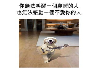 你無法叫醒一個裝睡的人 
也無法感動一個不愛你的人 
 