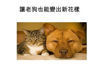 讓老狗也能變出新花樣 
 