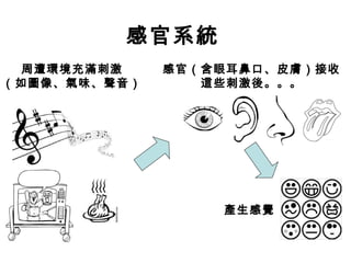 感官系統 
周遭環境充滿刺激 
（如圖像、氣味、聲音） 
感官（含眼耳鼻口、皮膚）接收 
這些刺激後。。。 
產生感覺 
 