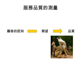 服務品質的測量 
顧客的認知期望品質 
 