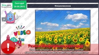 3 клас. НУШ. Я досліджую світ. Грущинська. Урок 103