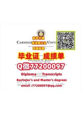 103卡内基梅隆大学.pdf