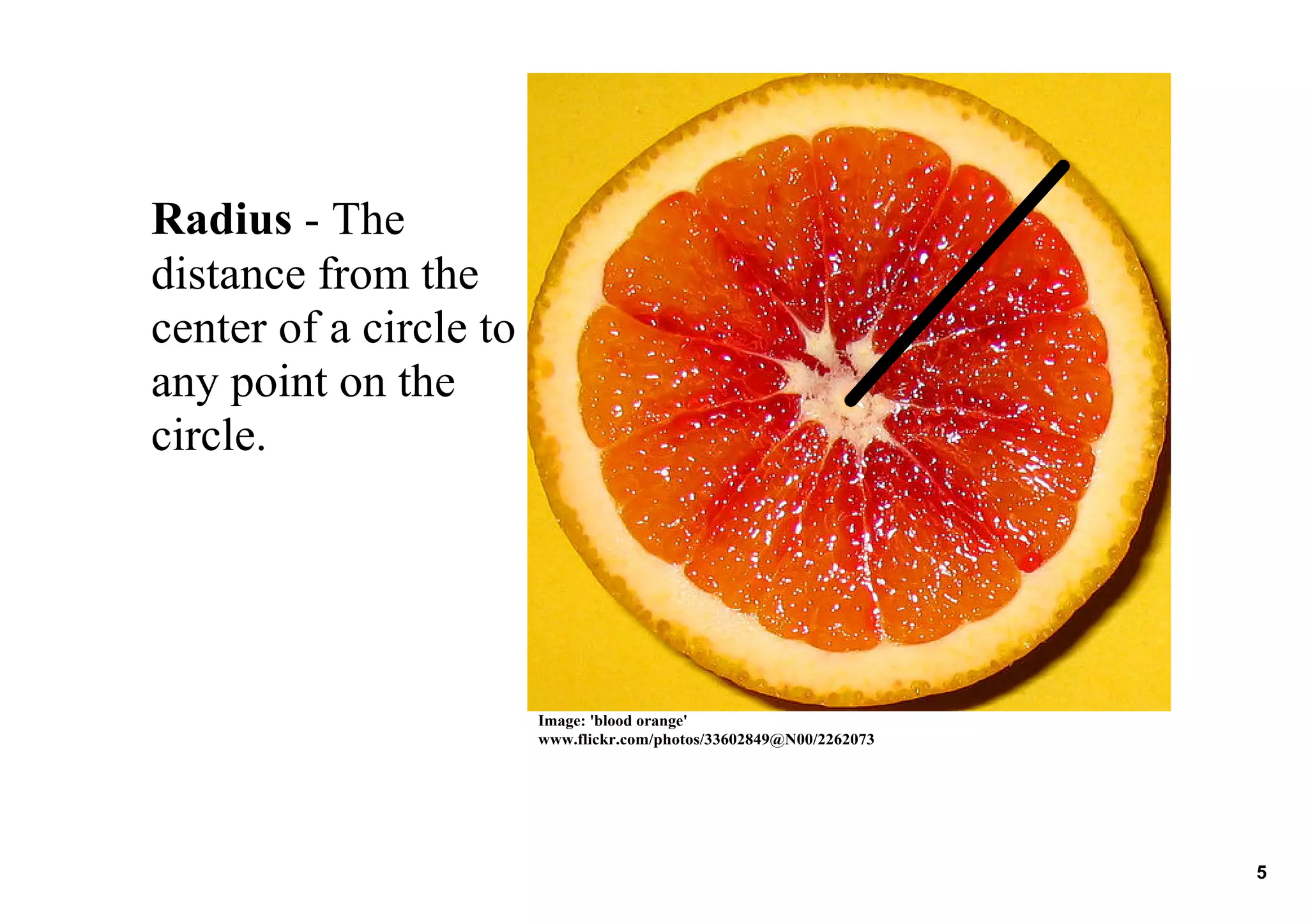 10.3 Circumference of a Circle