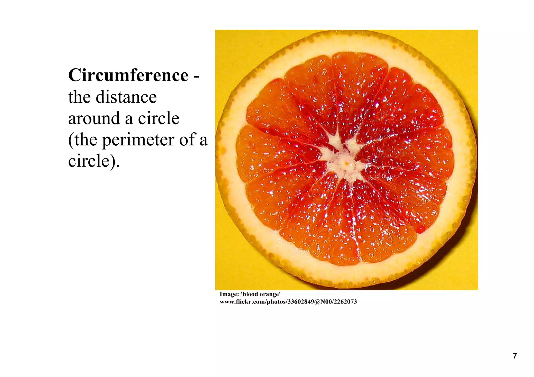 10.3 Circumference of a Circle