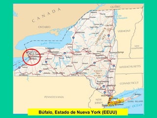 Búfalo, Estado de Nueva York (EEUU)
 