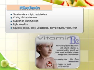 Saccharide and lipid metabolism
Curing of skin diseases
Support of sight function
Light sensitive
Sources: cerals, eggs, vegetables, dairy products, yeast, liver
 