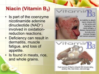 Niacin (Vitamin B3)
• Is part of the coenzyme
nicotinamide adenine
dinucleotide (NAD+)
involved in oxidation-
reduction reactions.
• Deficiency can result in
dermatitis, muscle
fatigue, and loss of
appetite.
• Is found in meats, rice,
and whole grains.
 