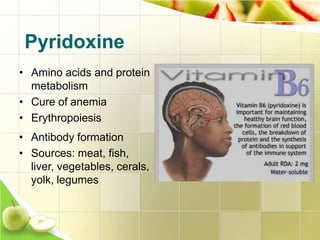 Pyridoxine
• Amino acids and protein
metabolism
• Cure of anemia
• Erythropoiesis
• Antibody formation
• Sources: meat, fish,
liver, vegetables, cerals,
yolk, legumes
 
