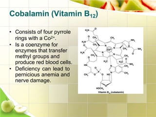 Cobalamin (Vitamin B12)
• Consists of four pyrrole
rings with a Co2+.
• Is a coenzyme for
enzymes that transfer
methyl groups and
produce red blood cells.
• Deficiency can lead to
pernicious anemia and
nerve damage.
 