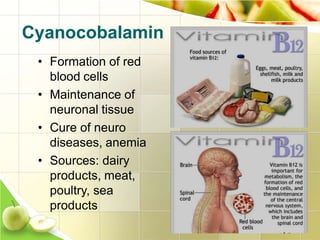 Cyanocobalamin
• Formation of red
blood cells
• Maintenance of
neuronal tissue
• Cure of neuro
diseases, anemia
• Sources: dairy
products, meat,
poultry, sea
products
 