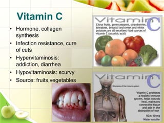 Vitamin C
• Hormone, collagen
synthesis
• Infection resistance, cure
of cuts
• Hypervitaminosis:
addiction, diarrhea
• Hypovitaminosis: scurvy
• Source: fruits,vegetables
 