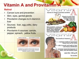 2222
Vitamin A and Provitamin A
Retinol
• Cancer cure and prevention
• Skin, eyes, genital glands
• Provitamin changes to A vitaminin
liver
• Sources: liver, egg yolks, dairy
products
• Provitamin A sources: carrots,
pepper, spinach, yellow fruits
 