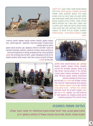 5
,‫לחודש‬ ‫אחת‬ ‫להפגש‬ ‫נוהגים‬ ,65+- ‫במועדון‬
‫בתחומי‬ ‫ולעסוק‬ ,‫תומכת‬ ‫קהילה‬ ‫במסגרת‬
‫החיבור‬ ‫היא‬ ‫המטרות‬ ‫כשאחת‬ ,‫שונים‬ ‫עניין‬
‫מכל‬ ‫קהילה‬ ‫חברי‬ ‫עם‬ ‫מפגש‬ ‫ידי‬ ‫על‬ ,‫לקהילה‬
,‫ועבודה‬ ‫עיסוק‬ ‫בתחומי‬ ‫המשתפים‬ ,‫הגילאים‬
,‫שלנו‬ ‫ובקהילה‬ ‫במשק‬ ‫בנעשה‬ ‫והתעדכנות‬
.‫שותפות‬ ‫ותחושת‬ ‫תהליכים‬ ‫הבנת‬
‫את‬ ‫המרכזת‬ ‫כהן‬ ‫אילנה‬ ‫לנו‬ ‫מספרת‬ ,‫החודש‬
‫הגיל‬ ‫חברי‬ ‫של‬ ‫מעשיר‬ ‫מפגש‬ ‫התקיים‬ ,‫התחום‬
‫רווחה‬ ‫בתחומי‬ ‫המועצה‬ ‫נציגות‬ ‫עם‬ ‫השלישי‬
‫ושרה‬ ‫קדמון‬ ‫נורית‬ - ‫השלישי‬ ‫הגיל‬ ‫ועמותת‬
‫ושירותים‬ ‫זכויות‬ ‫על‬ ‫לחברים‬ ‫שסיפרו‬ ,‫פולק‬
‫שם‬ ‫היה‬ ‫מוריס‬ .‫המועצה‬ ‫דרך‬ ‫להם‬ ‫הניתנים‬
‫כל‬ ‫לומר‬ ‫המקום‬ ‫ופה‬ .‫בתמונות‬ ‫אותנו‬ ‫ושיתף‬
!‫במלאכה‬ ‫העוסקים‬ ‫ולכל‬ ‫לאילנה‬ ‫הכבוד‬
,‫בכרמיה‬ ‫חדשה‬ ‫וואצאפ‬ ‫קבוצת‬ ‫החודש‬ ‫נפתחה‬ ,‫בשקט‬ ‫בשקט‬
‫הוא‬ - ‫לנחש‬ ‫קשה‬ ‫לא‬ - ‫שעיסוקה‬ ,"‫הכדורעף‬ ‫"נשות‬ ‫הכותרת‬ ‫תחת‬
...‫לנשים‬ ‫כדורעף‬ ‫אימוני‬
‫ראשון‬ ‫אימון‬ ‫התקיים‬ ‫אכן‬ ,‫בוואצאפ‬ ‫הרגילות‬ ‫לחפירות‬ ‫מעבר‬ ‫אז‬
‫ושליטה‬ ‫מוטיבציה‬ ,‫הנחתות‬ ,‫מרשימה‬ ‫באנרגיה‬ ‫הבנות‬ ‫הפתיעו‬ ‫בו‬
.‫לרוב‬ ‫וזיעה‬ ‫תפוסים‬ ‫שרירים‬ ‫עם‬ ‫מאושרות‬ ‫וסיימו‬ ,‫בכדור‬ )‫(חלקית‬
,‫מנחם‬ ‫של‬ ‫הסבלנית‬ ‫הדרכתו‬ ‫ללא‬ ,‫כמובן‬ ‫מתאפשר‬ ‫היה‬ ‫לא‬ ‫זה‬ ‫כל‬
‫העמוס‬ ‫הזמנים‬ ‫מלוח‬ ‫בשבוע‬ ‫וחצי‬ ‫שעה‬ ‫עבורנו‬ ‫להקדיש‬ ‫שהצליח‬
!!‫תודה‬ ‫כך‬ ‫ועל‬ ,‫שלו‬
,‫לויצקי‬ ‫"גבי‬ :ynet ‫באתר‬ ‫שעבר‬ ‫בשבוע‬ ‫פורסם‬
‫לפני‬ ‫תיעד‬ ‫כרמיה‬ ‫בקיבוץ‬ ‫המתגורר‬ ‫טבע‬ ‫צלם‬
‫שמורת‬ ‫באזור‬ ‫ישראלים‬ ‫צבאים‬ ‫עדר‬ ‫כשנה‬
‫כשהיא‬ ‫צביה‬ ‫גבי‬ ‫תיעד‬ ‫השאר‬ ‫בין‬ .‫זיקים‬ ‫חולות‬
‫שוב‬ ‫אותה‬ ‫שפגש‬ ‫לאחר‬ .‫באוזן‬ ‫צהוב‬ ‫זיהוי‬ ‫תג‬ ‫עם‬
‫והבחין‬ ‫מתקדם‬ ‫בהריון‬ ‫כשהיא‬ ‫שעבר‬ ‫בחודש‬
‫לרשות‬ ‫הפרטים‬ ‫את‬ ‫העביר‬ ‫הוא‬ ,‫המוכר‬ ‫בתג‬
‫כי‬ ‫גילתה‬ ,‫התג‬ ‫מספר‬ ‫של‬ ‫בדיקה‬ .‫והגנים‬ ‫הטבע‬
‫באזור‬ ‫שנים‬ ‫שש‬ ‫לפני‬ ‫שנדרסה‬ ‫בצביה‬ ‫מדובר‬
‫והושבה‬ ‫בר‬ ‫לחיות‬ ‫בביה"ח‬ ‫שוקמה‬ ,‫השמורה‬
‫בחולות‬ ‫צבאים‬ - ‫גבי‬ ‫של‬ ‫צילום‬ :‫בתמונה‬ ."‫לטבע‬
.‫זיקים‬
:‫המטבח‬ ‫מצוות‬ ‫הודעה‬
.‫אצלנו‬ ‫בעבר‬ ‫שעבד‬ ‫רפי‬ ‫המיתולוגי‬ ‫הטבח‬ ‫אצלנו‬ ‫לבשל‬ ‫חוזר‬ ,‫הקרוב‬ ‫ראשון‬ ‫מיום‬
.‫דרכו‬ ‫בהמשך‬ ‫הצלחה‬ ‫לו‬ ‫ונאחל‬ ‫תפקידו‬ ‫את‬ ‫מסיים‬ ,‫מרסל‬ ,‫הנוכחי‬ ‫הטבח‬
 