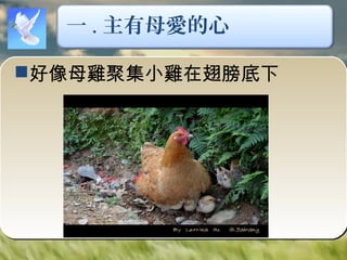 一 . 主有母愛的心
好像母雞聚集小雞在翅膀底下
 