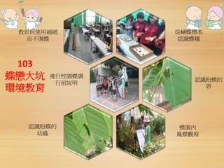 教如何使用補網 
103 
蝶戀大坑 
環境教育 
從蝴蝶標本 
認識蝶種 
認識粉蝶的 
卵 
認識粉蝶的 
幼蟲 
蝶園內 
鳳蝶觀察 
進行校園蝶調 
行前說明 
而不傷蝶 
 