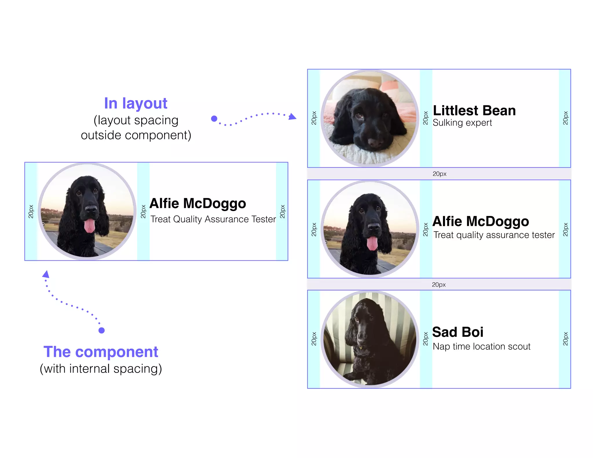 Alﬁe McDoggo
Treat Quality Assurance Tester
The component
(with internal spacing)
Alﬁe McDoggo
Treat quality assurance tester
Littlest Bean
Sulking expert
Sad Boi
Nap time location scout
In layout
(layout spacing
outside component)
20px
20px
20px
20px
20px
20px
20px
20px
20px
20px
20px
20px
20px
20px
 