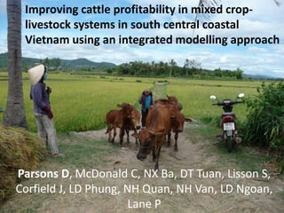 Improving cattle profitability in mixed crop-
 livestock systems in south central coastal
 Vietnam using an integrated modelling approach




Parsons D, McDonald C, NX Ba, DT Tuan, Lisson S,
Corfield J, LD Phung, NH Quan, NH Van, LD Ngoan,
                      Lane P
 
