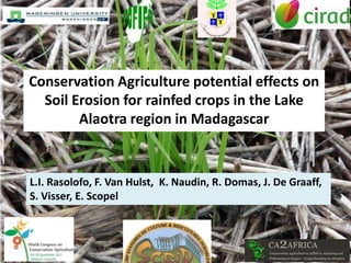Conservation Agriculture potential effects on
  Soil Erosion for rainfed crops in the Lake
        Alaotra region in Madagascar


L.I. Rasolofo, F. Van Hulst, K. Naudin, R. Domas, J. De Graaff,
S. Visser, E. Scopel
 
