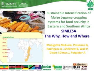 Sustainable Intensification of
                       Maize Legume cropping
                     systems for food security in
                    Eastern and Southern Africa
                            SIMLESA
Geographic focus
Ethiopia
                   The Why, How and Where
Kenya

Malawi              Mulugetta Mekuria; Prasanna B,
Mozambique          Rodriguez D , Shiferaw B, Wall P,
South Africa          Dixon J,Dimes J, Potgieter A
Tanzania
 