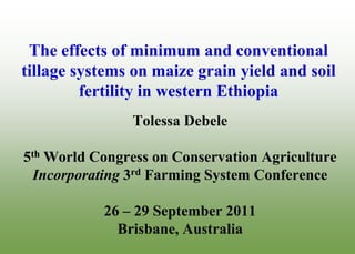 The effects of minimum and conventional
tillage systems on maize grain yield and soil
         fertility in western Ethiopia
                Tolessa Debele

5th World Congress on Conservation Agriculture
  Incorporating 3rd Farming System Conference

           26 – 29 September 2011
             Brisbane, Australia
 