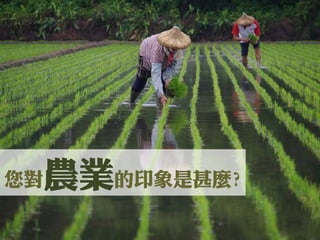 您對農業的印象是甚麼?  