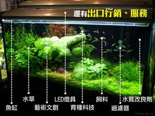 CC Photo: Ray Yu 
魚缸 
水草 
過濾器 
飼料 
育種科技 
LED燈具 
藝術文創 
還有出口行銷、服務 
水質改良劑  