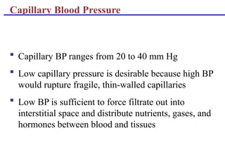 Cardiovascular system blood vessels .ppt
