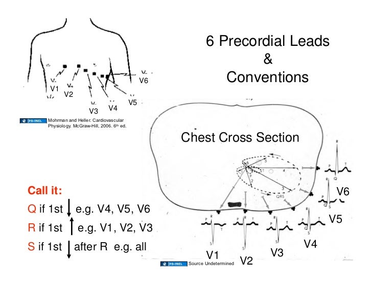 10.31.08 Physiological Basis of ECG