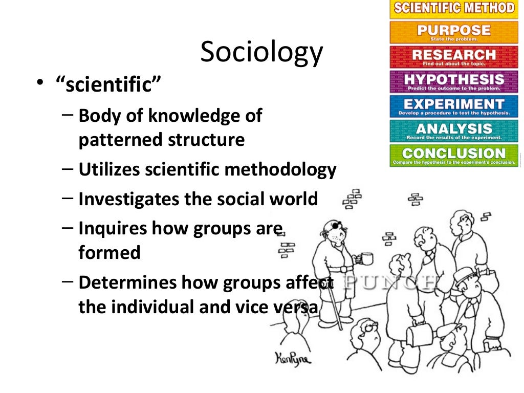 is anthropology better than sociology