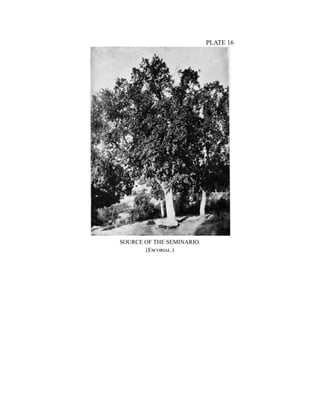 PLATE 16
SOURCE OF THE SEMINARIO.
(Escorial.)
 