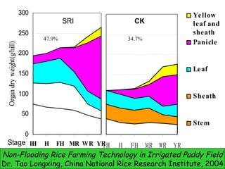 47.9% 34.7% Non-Flooding Rice Farming Technology in Irrigated Paddy Field Dr. Tao Longxing, China National Rice Research I...